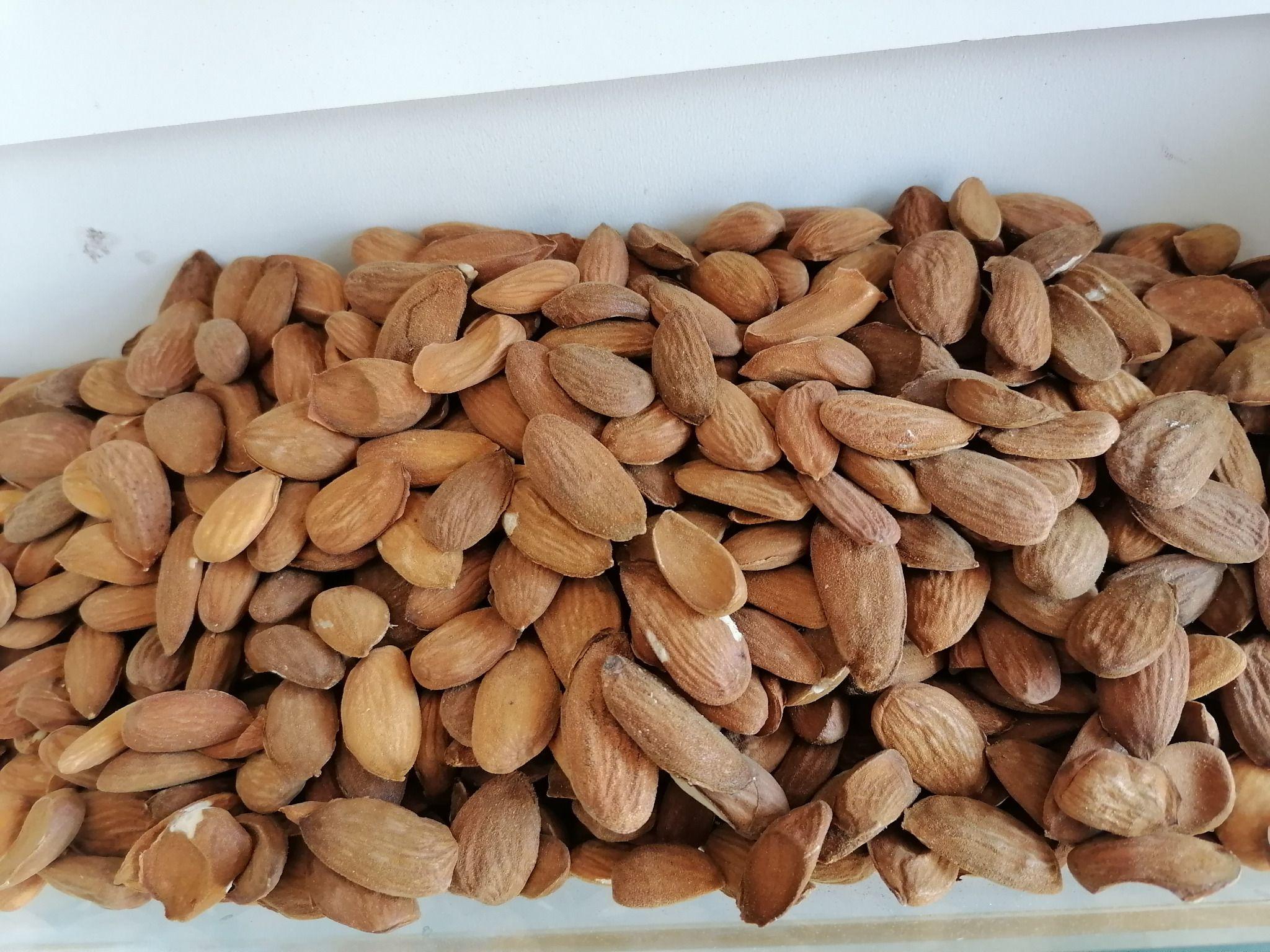 آجیل و خشکبار شیرازی (خشکبار سرای طالقان)