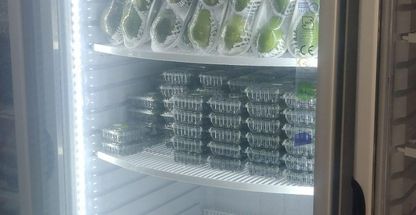 سورنا استور