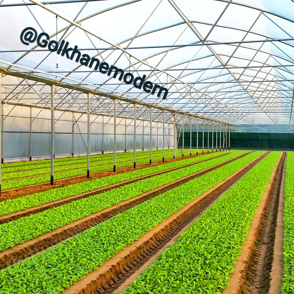 گلخانه ساخت و تجهیز