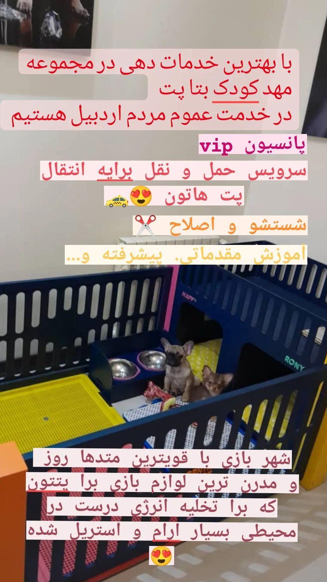 پانسیون و مهد حیوانات خانگی بتا پت