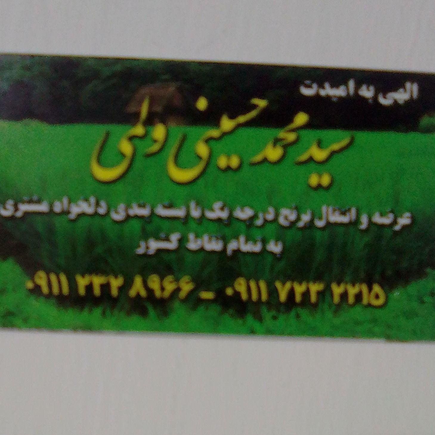 برنج فروشی ممتاز سید