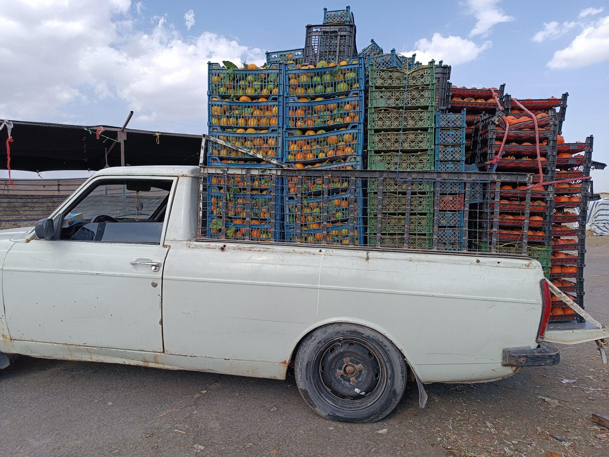 باربری و حمل و نقل وانت نهتانی