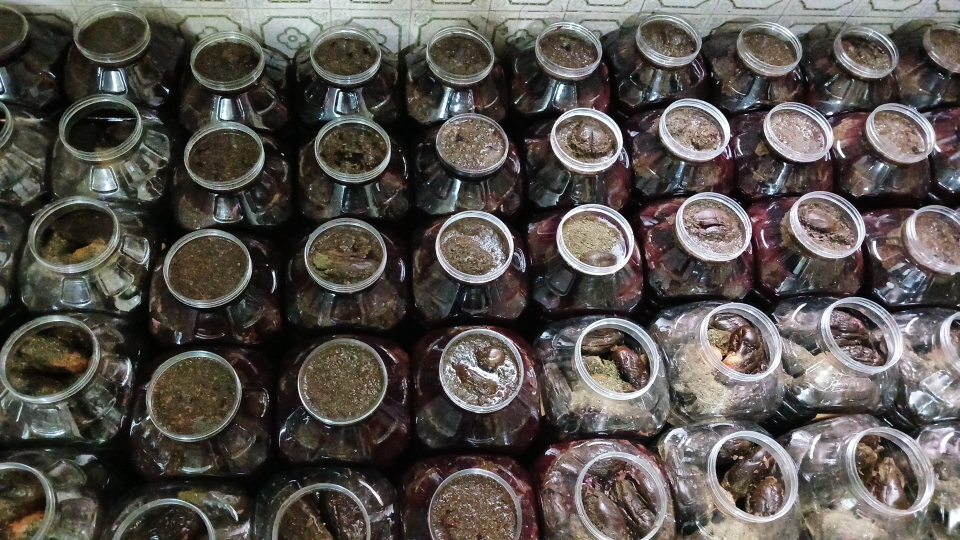 تولید و فروش ترشیجات و خیارشور و زيتون