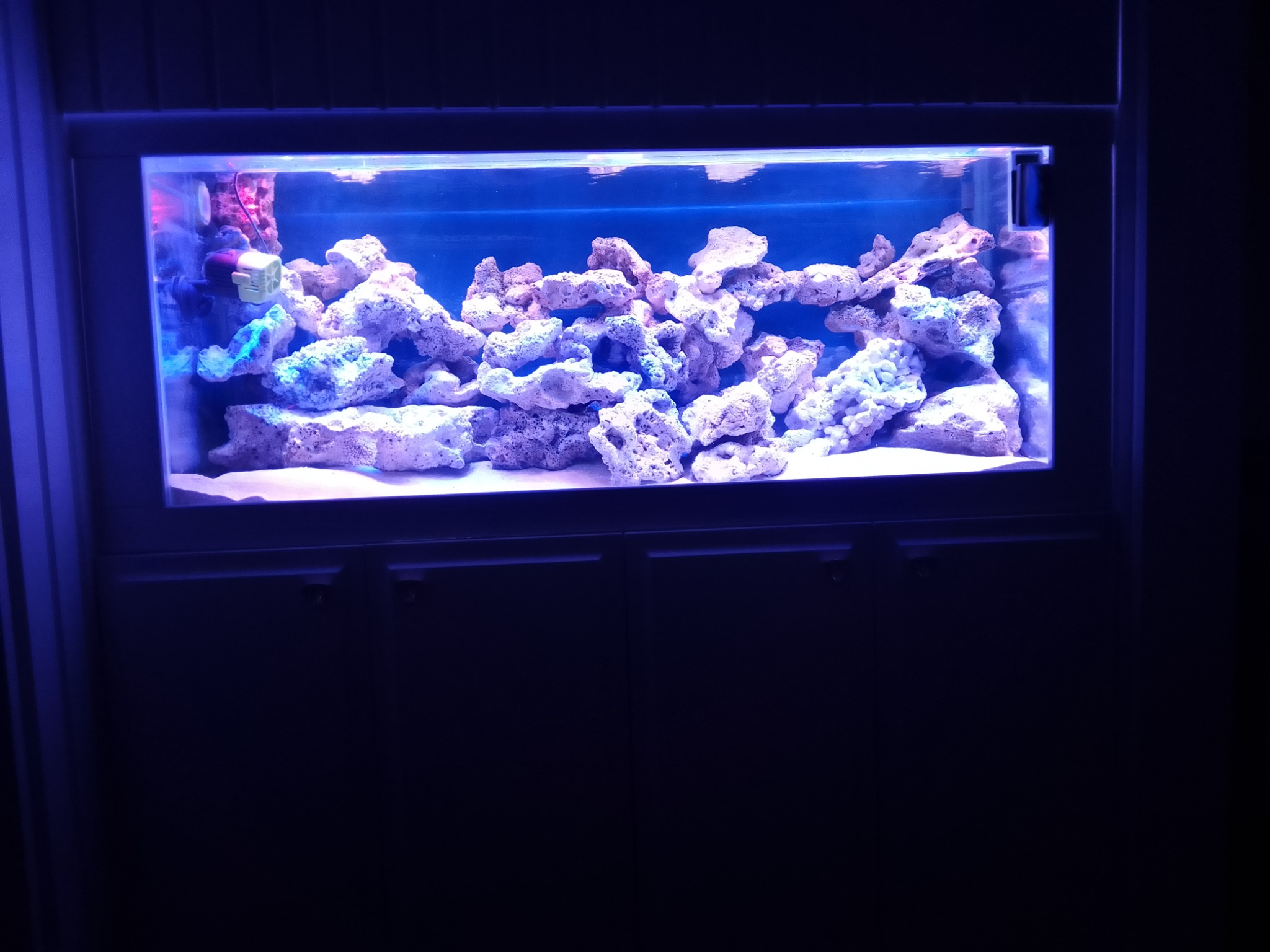 طراحی و اجرای آکواریوم آب شور