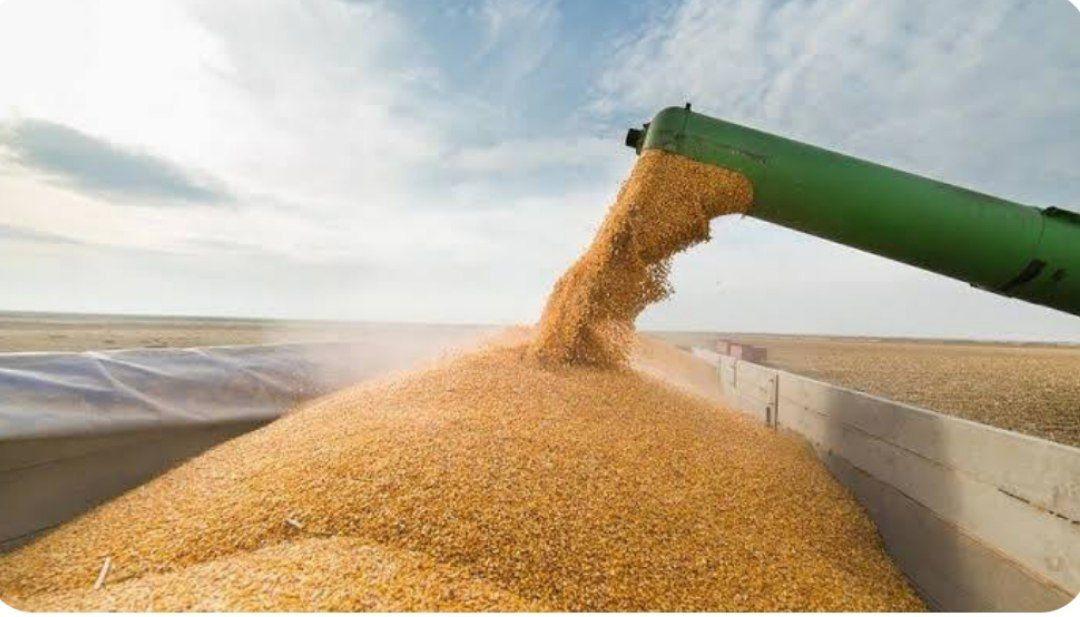 کشاورزی گندم وجوومصالح ساختمانی مهرشاد