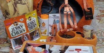 کلینیک دامپزشکی نوبند