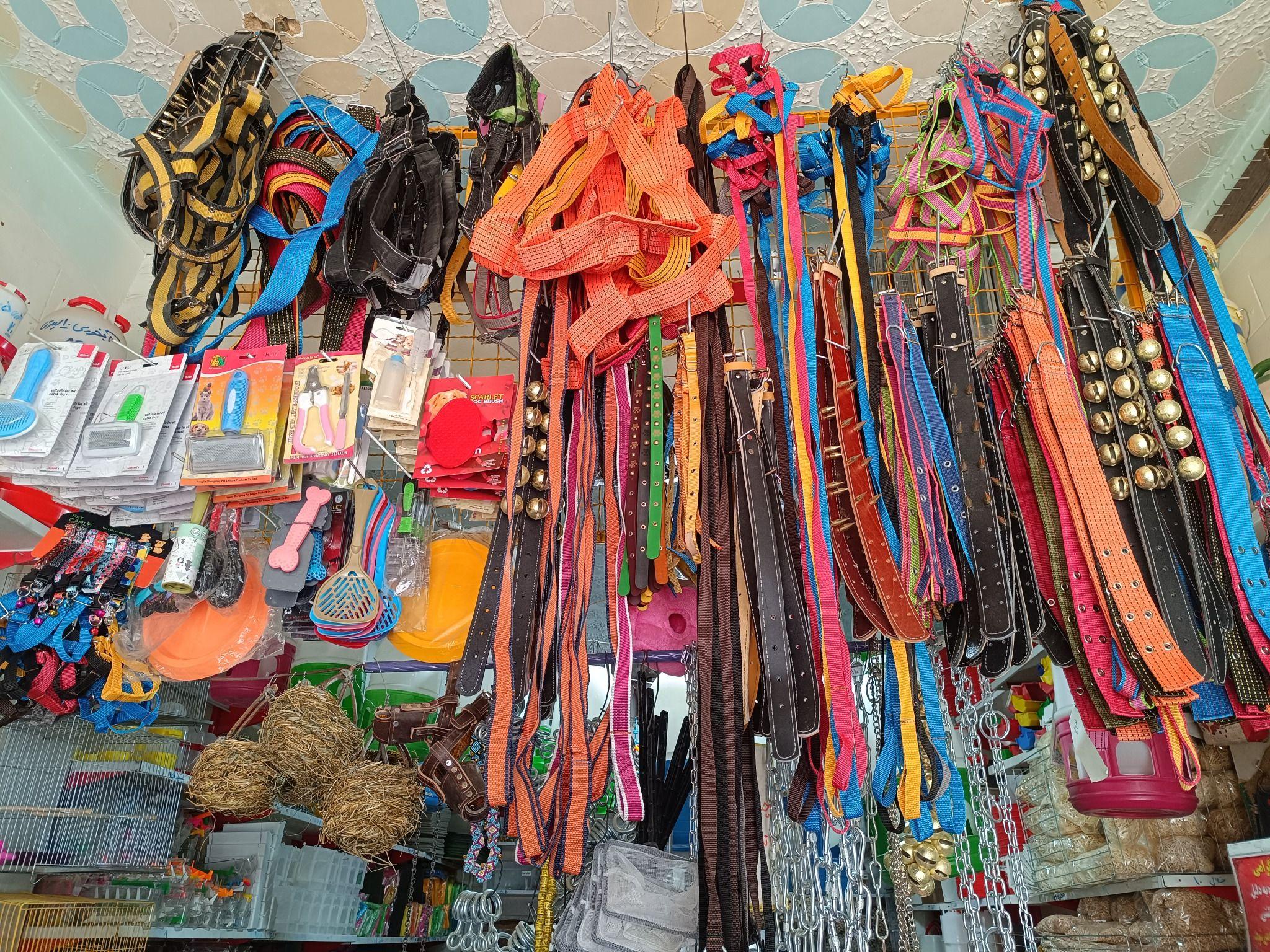 فروشگاه امیر دان پرندگان