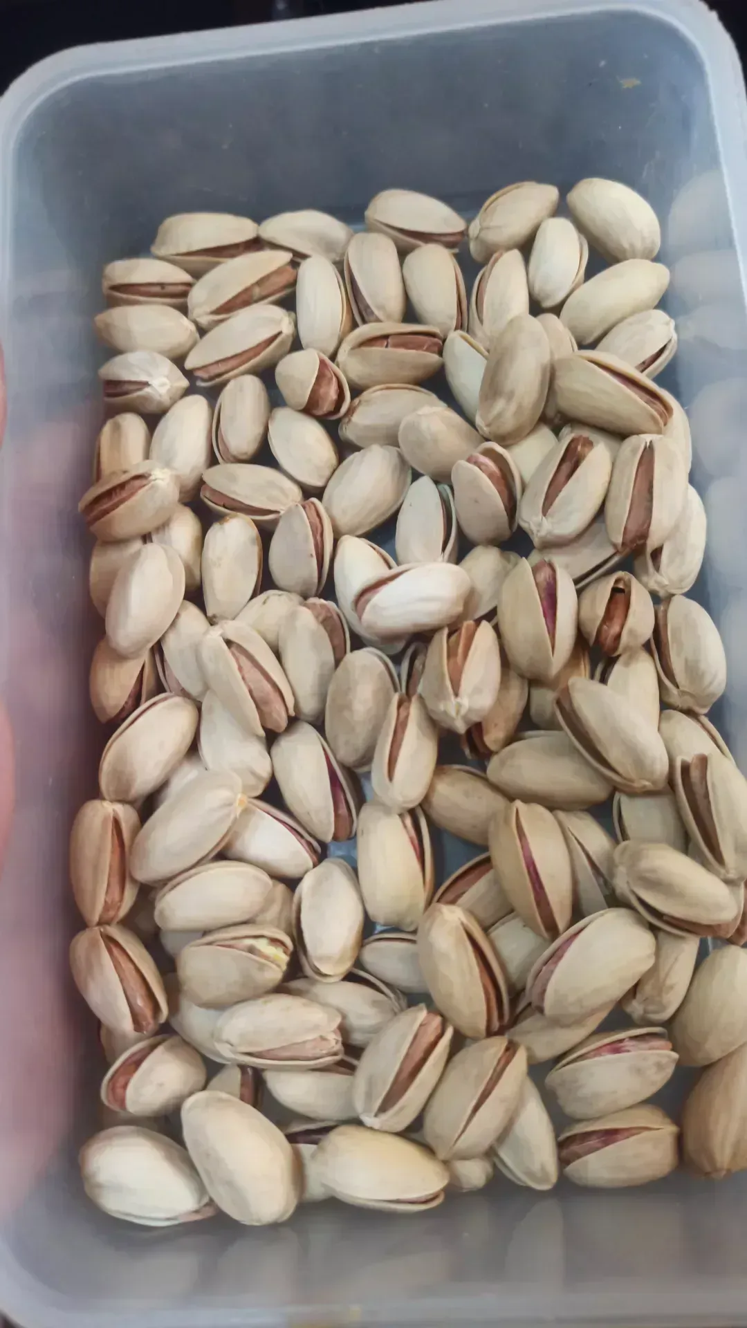 پسته با طعم اصیل