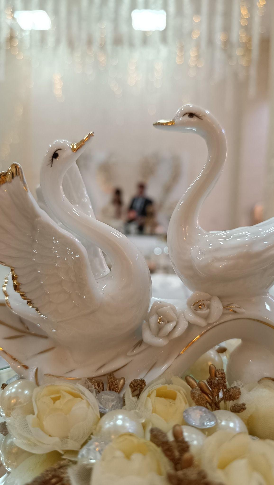 خانه عقد پروانه