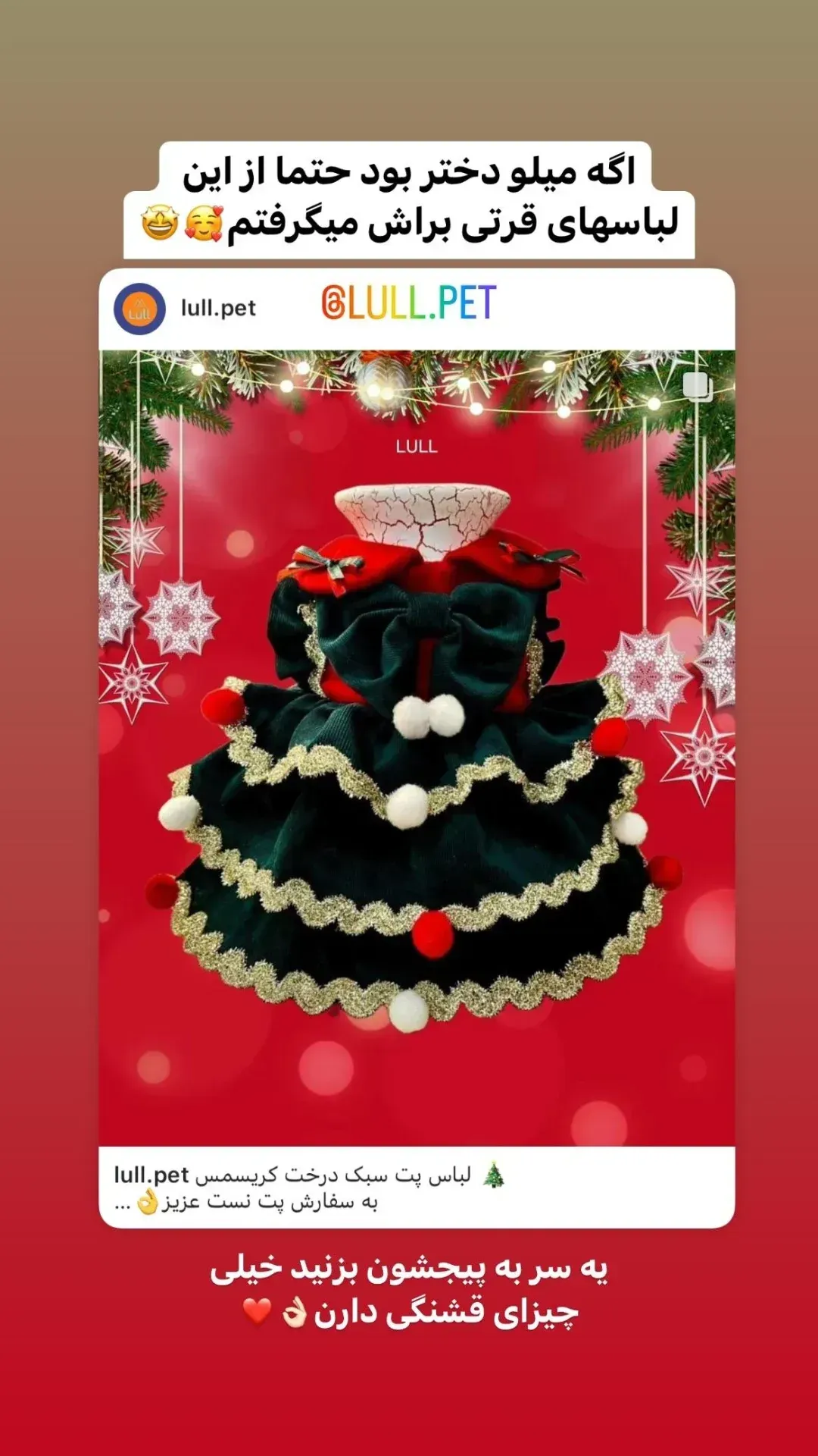 لوازم حیوانات لول پت