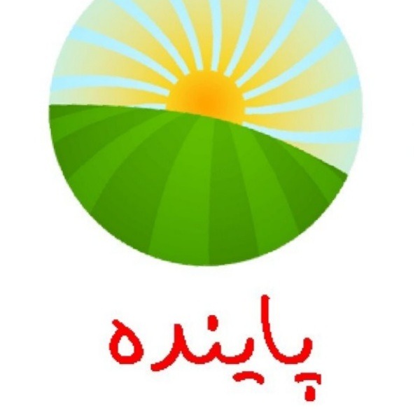برنج پاینده