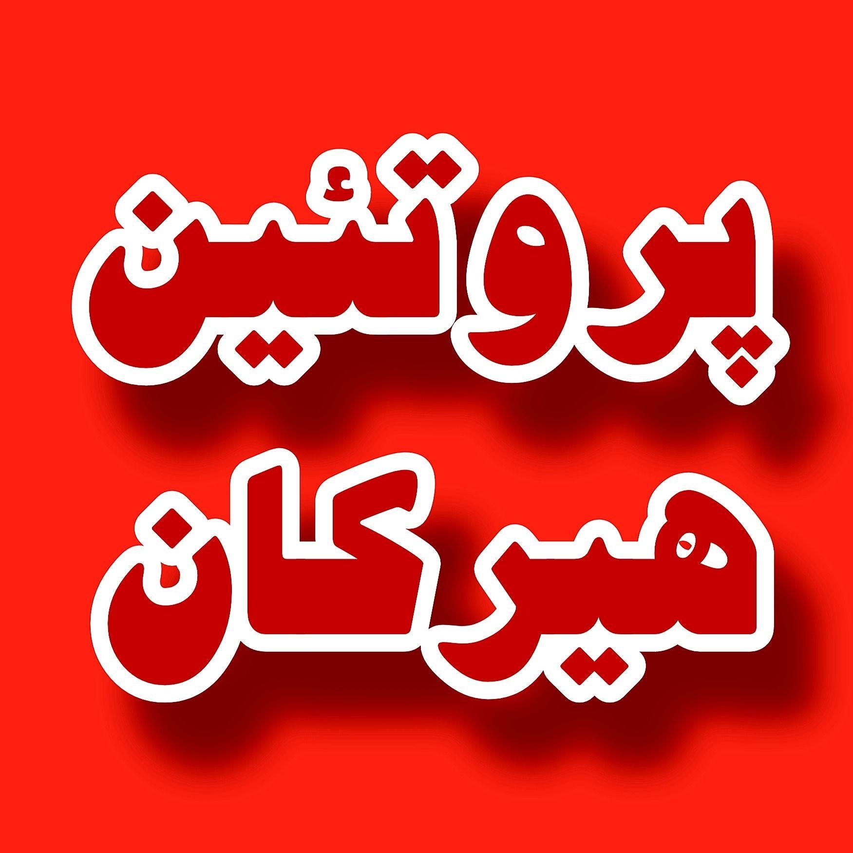 پروتئین هیرکان