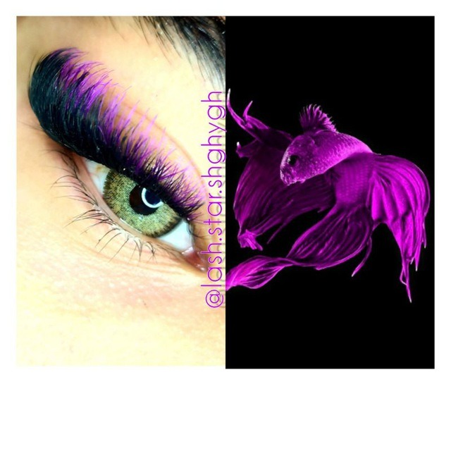 کاشت هیدن مژه شقایق