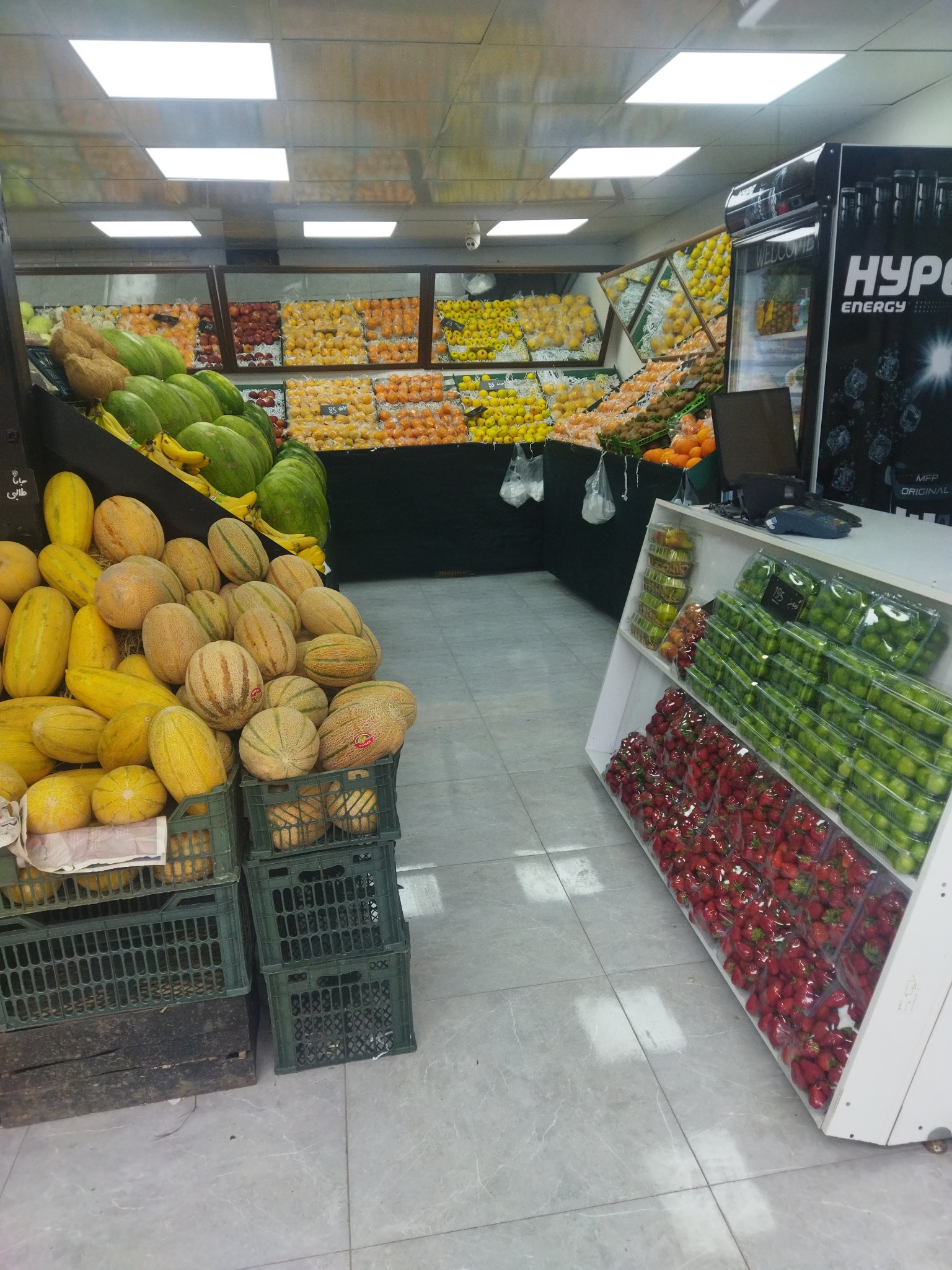 میوه فروشی راد