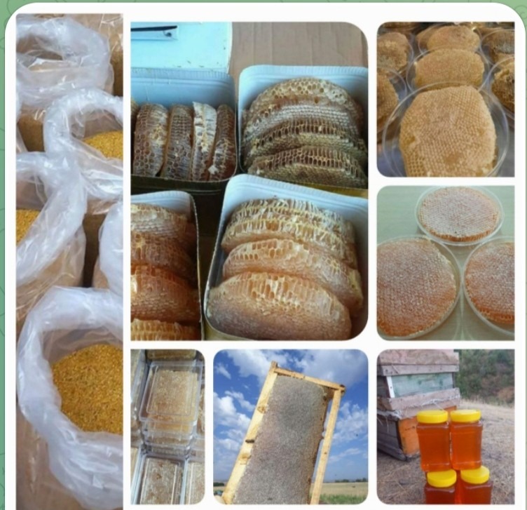 زنبورستان عوالان