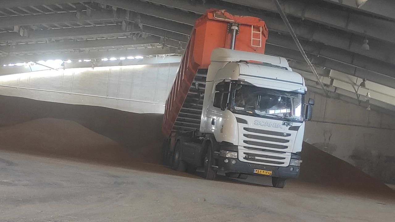 تولید گندم اسماعیل پور