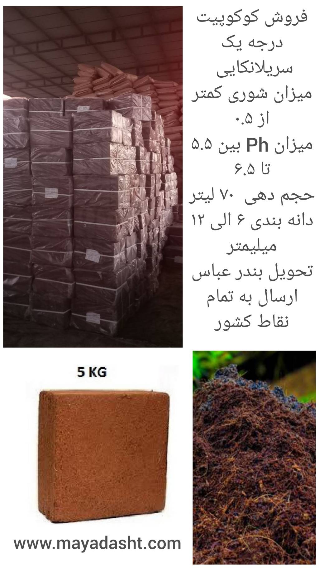 فروش کوکوپیت مصطفایی
