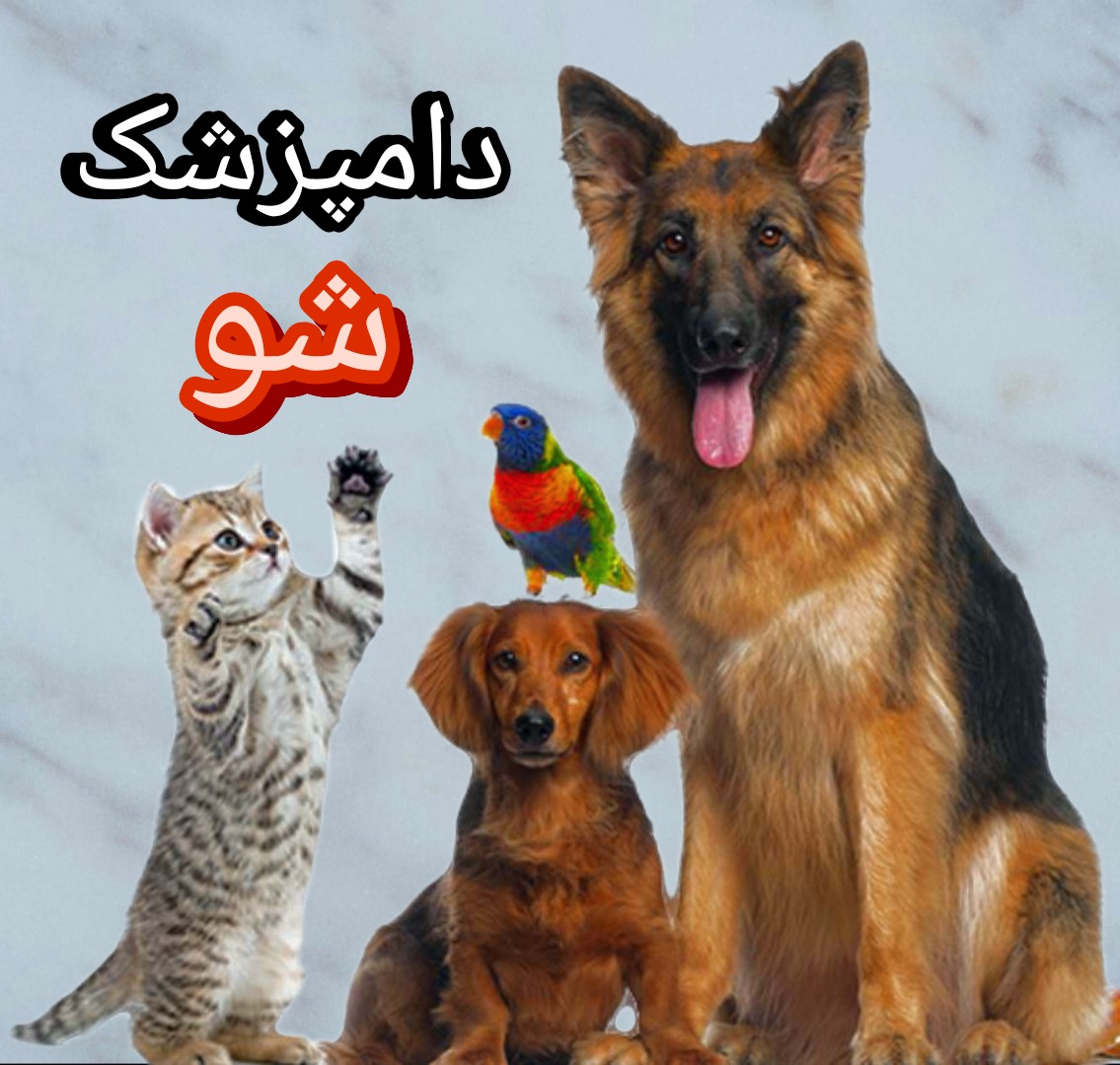 دوره دستیاری دامپزشکی