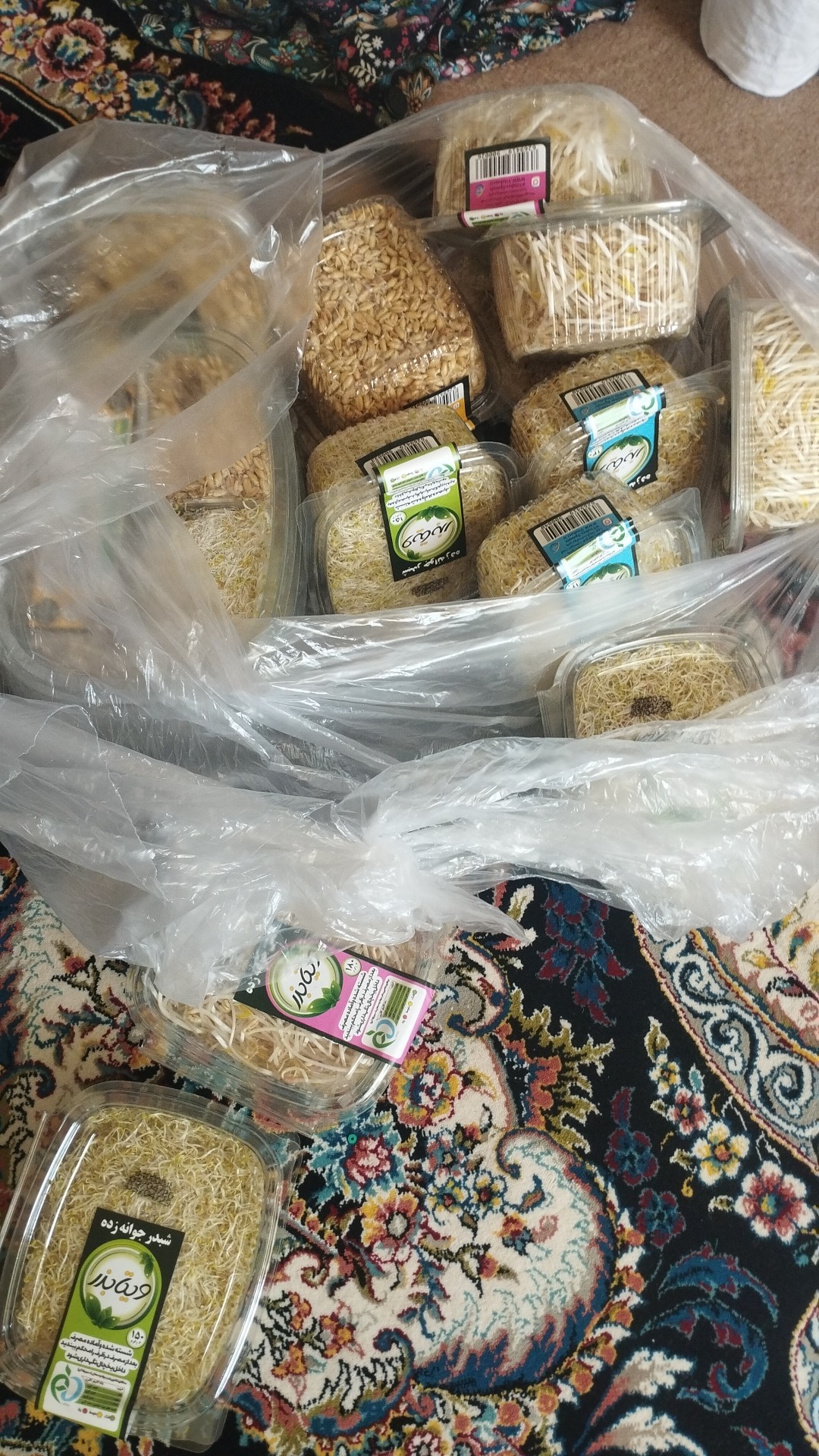 جوانه ویتابذر