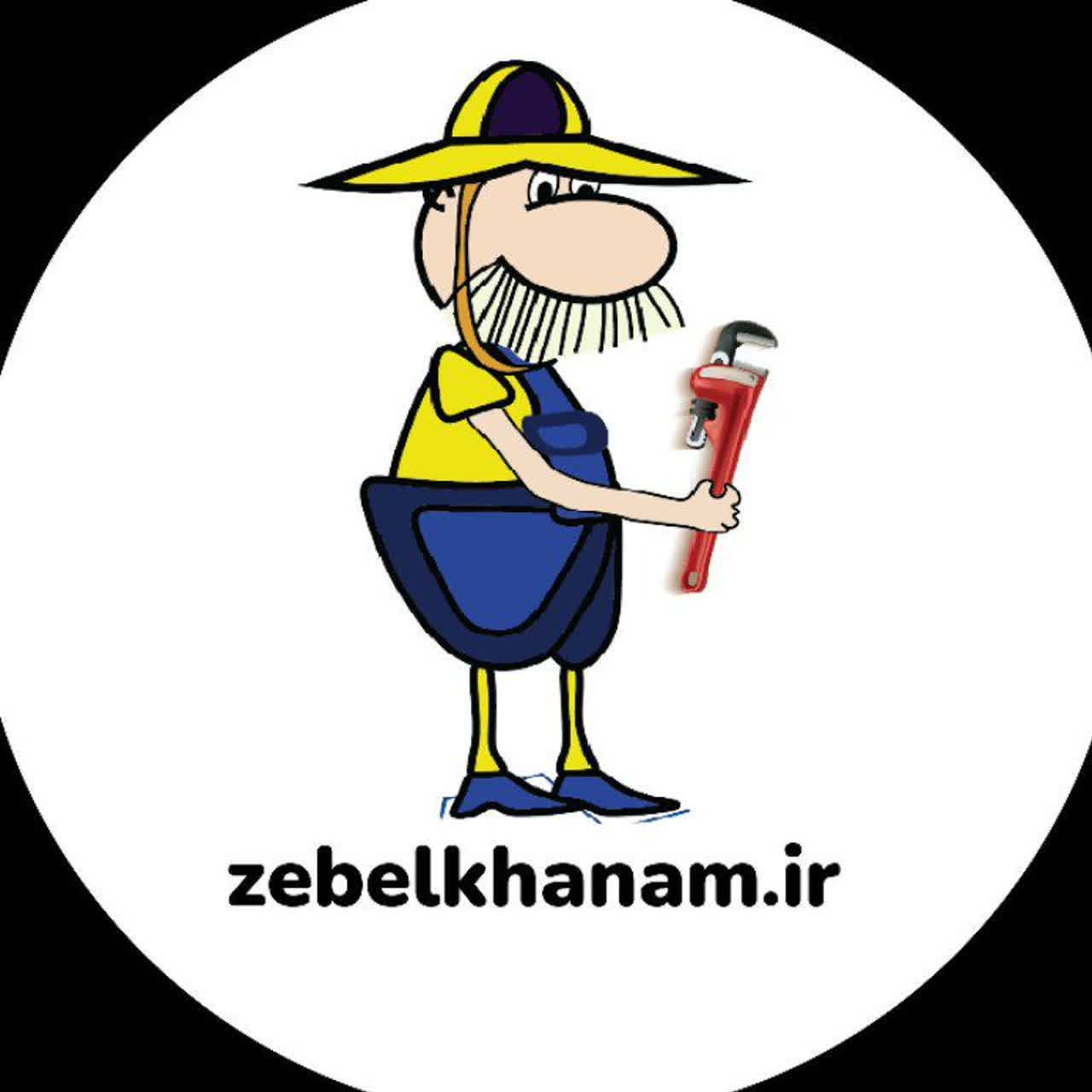 شرکت خدماتی زبل خان