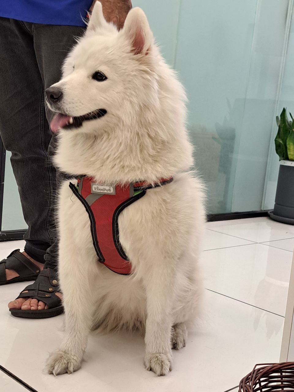 کلینیک تخصصی دامپزشکی دکتر ذاکریان