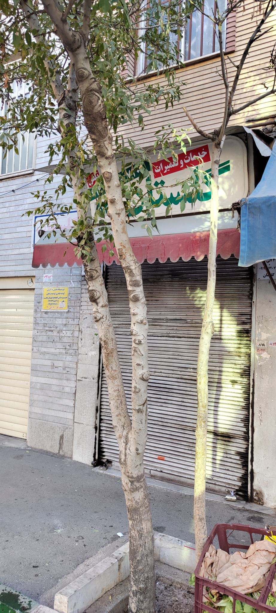 خدمات گلستان تعمیرات تخصصی جاروبرقی