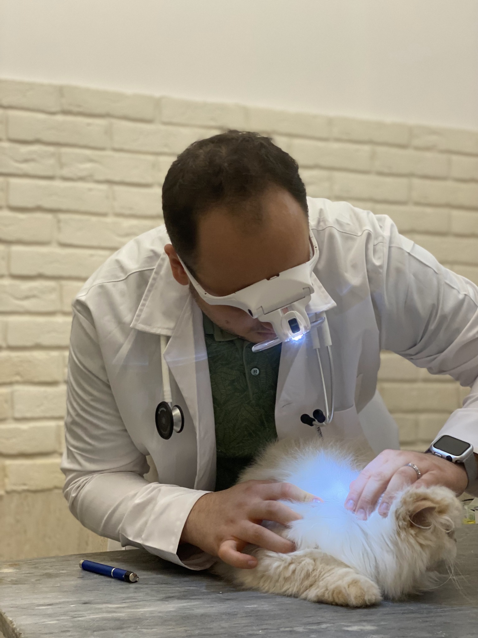 کلینیک دامپزشکی فرهنگ