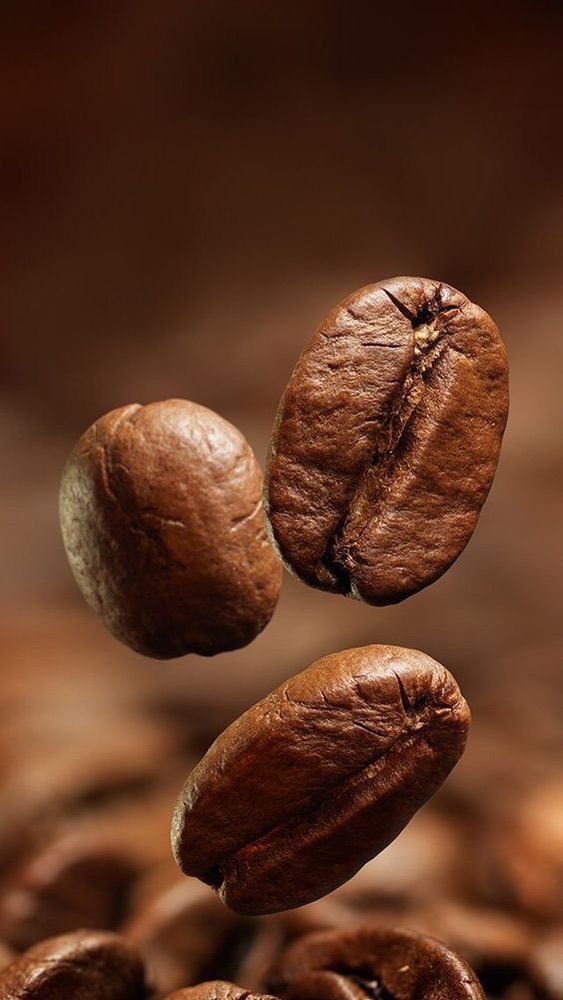 روستری قهوه پاتاوان