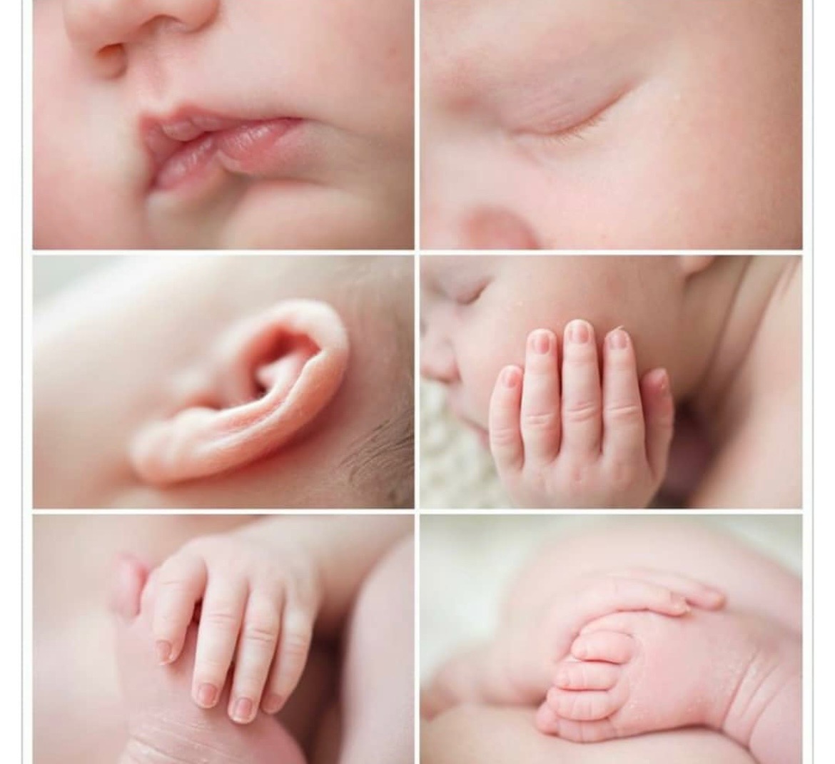 آتلیه عکاسی و فیلمبرداری مهسا اکبری