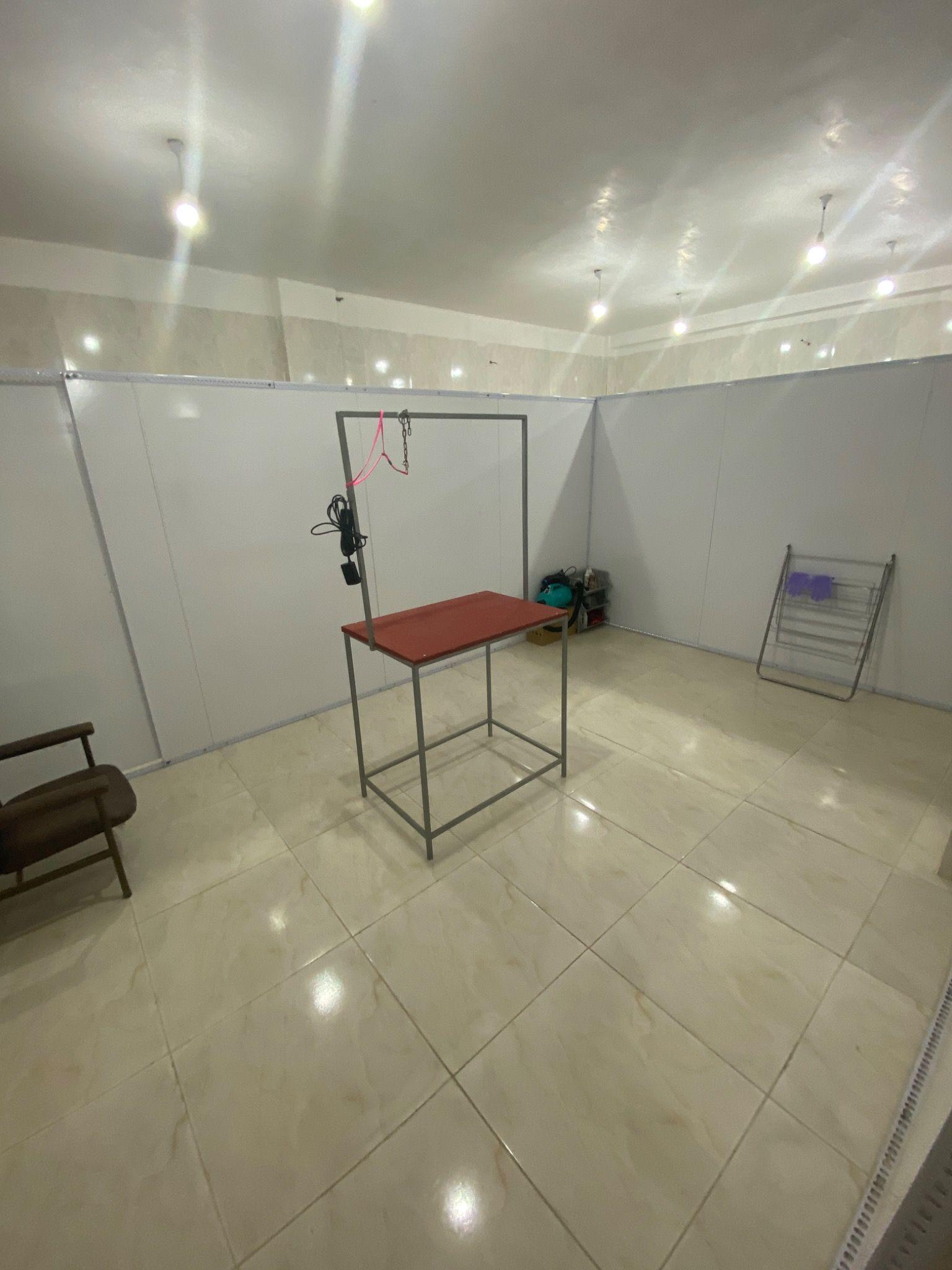 کلینیک دامپزشکی مای وت