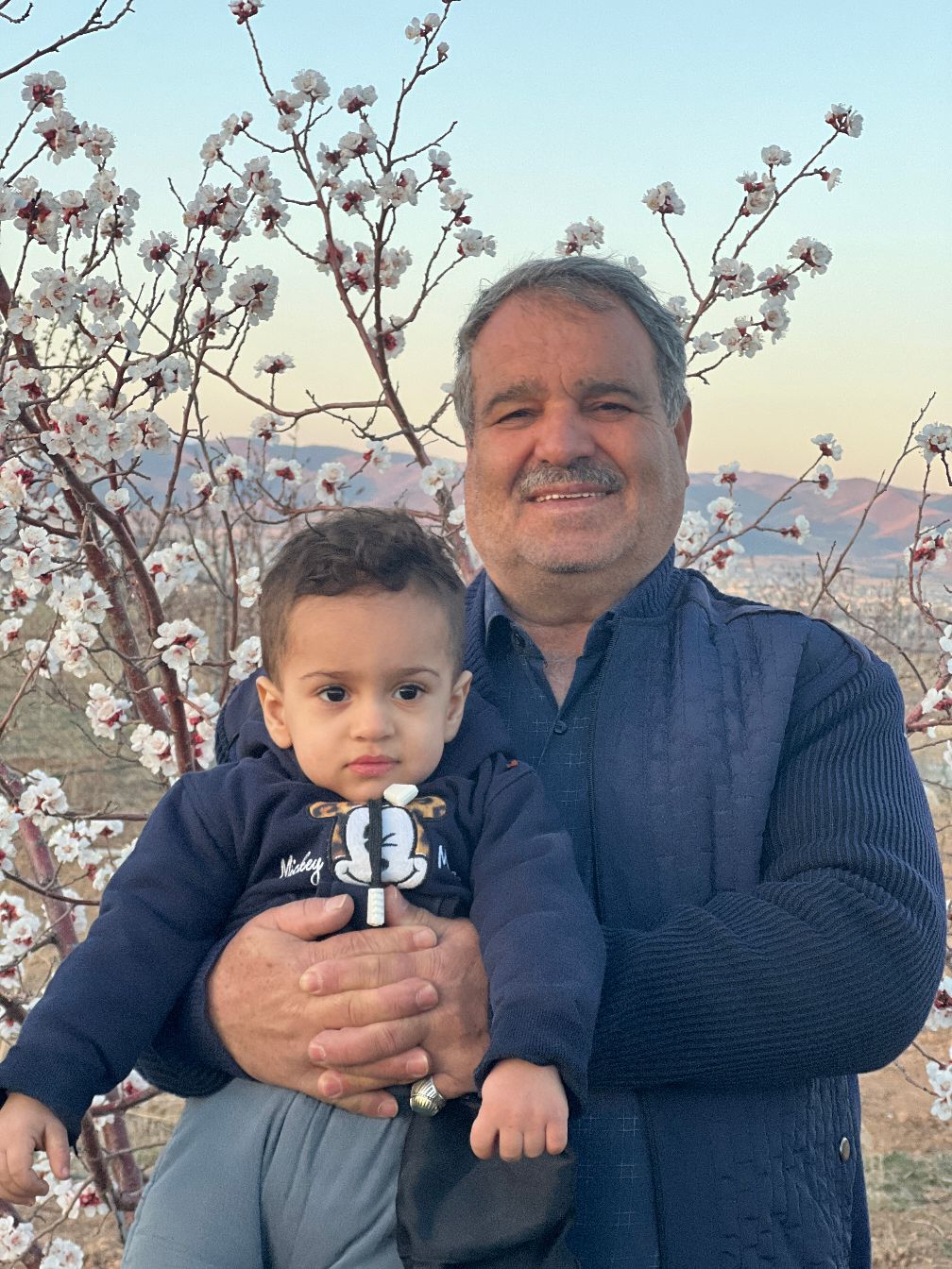 سوئیت معمار شایق