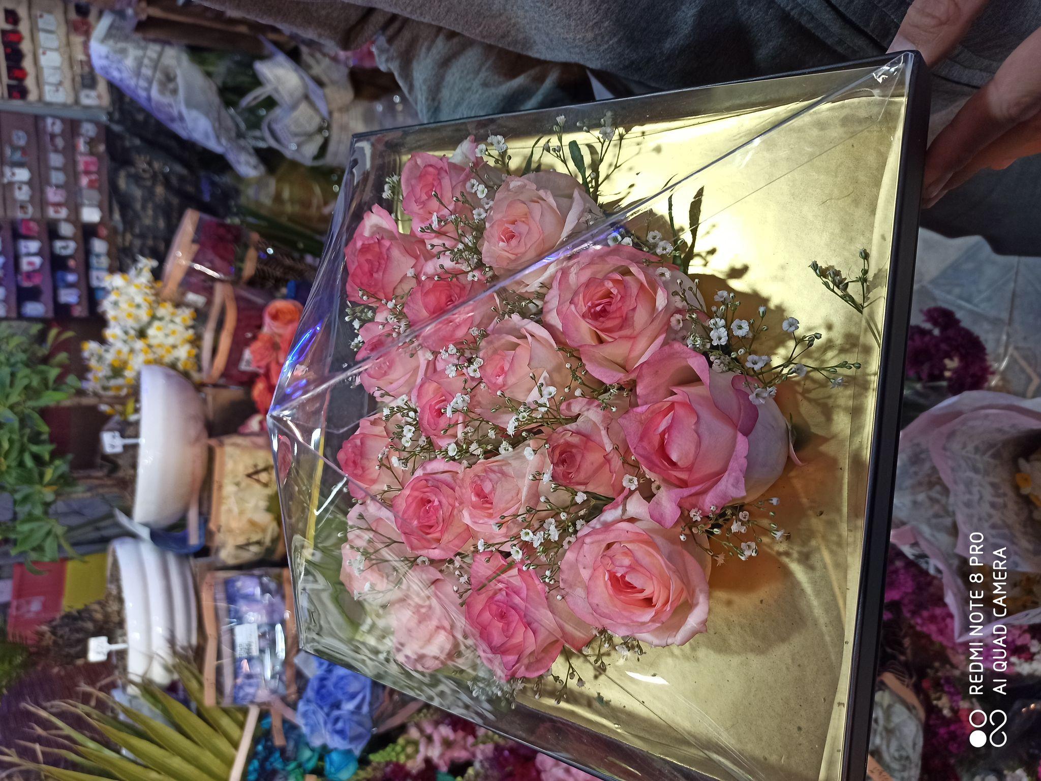 گلکده لیلاک