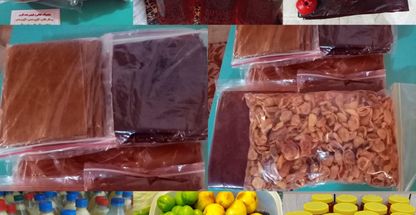 محصولات خانگی جنت فارس