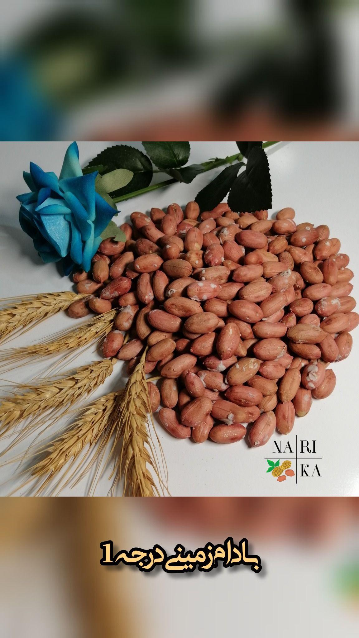 عمده فروشی بادام زمینی