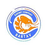 هلدینگ برتاو