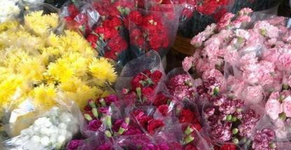 آقای گل ایران