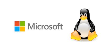 ارائه خدمات شبکه و کامپیوتری آرتا