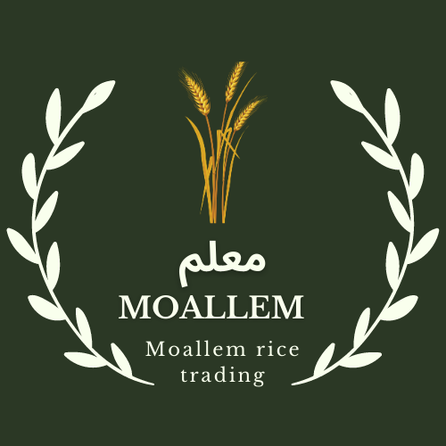 برنج فروشی معلم