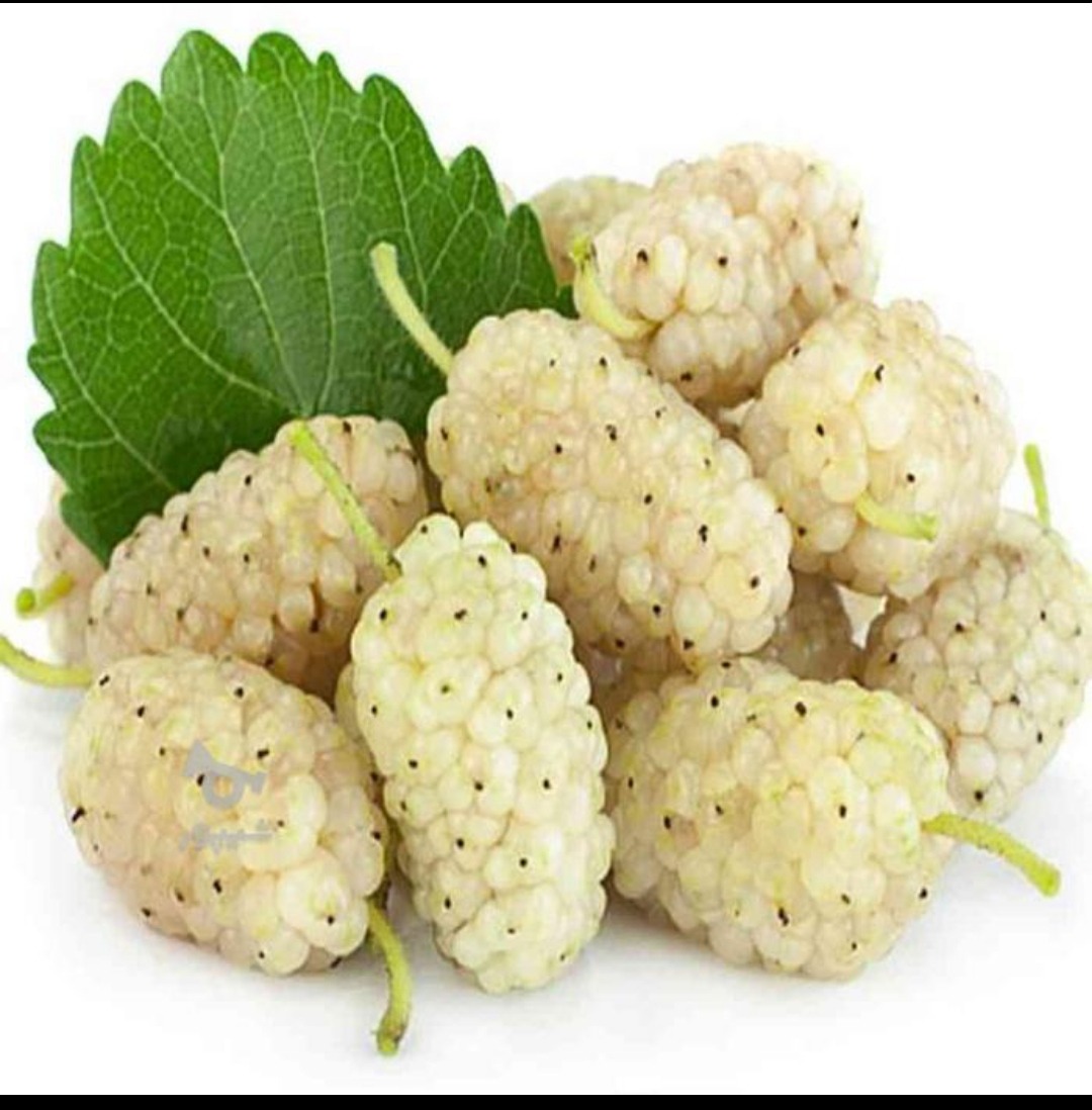 فروش محصولات خانگی حسینی نیا