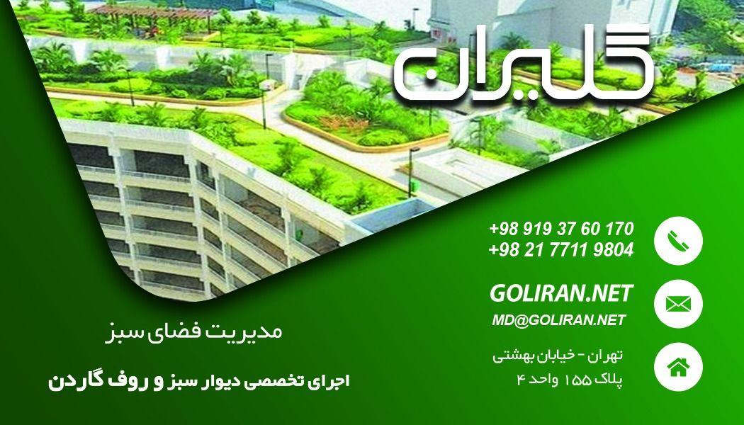 شرکت گلیران