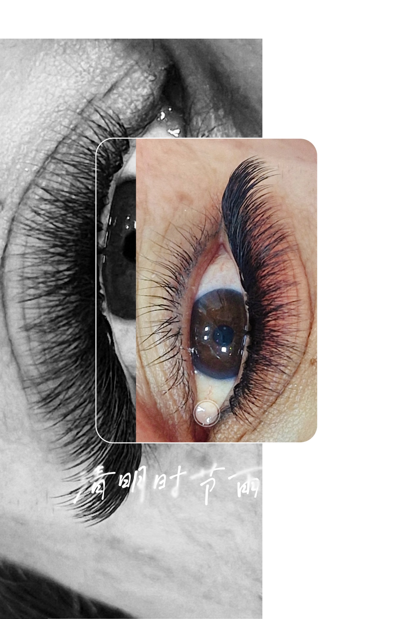 اکستنشن مژه و کاشت مژه آوین