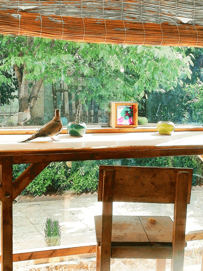 موسسه فرهنگی هنری راز و هنر