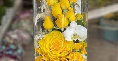 گلفروشی مای گلدیس