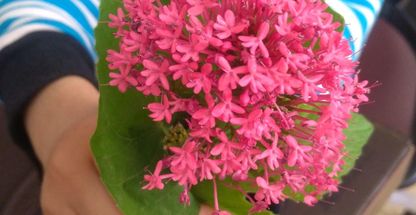 گفتاردرمانی تبریز  توانبخشی یارا تبریز