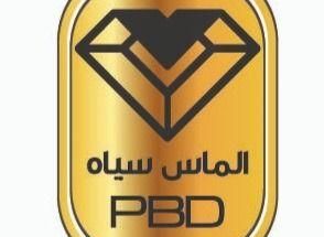 شستی الماس سیاه پارسیان