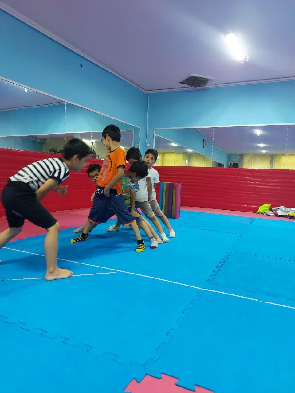 موسسه بازیکو