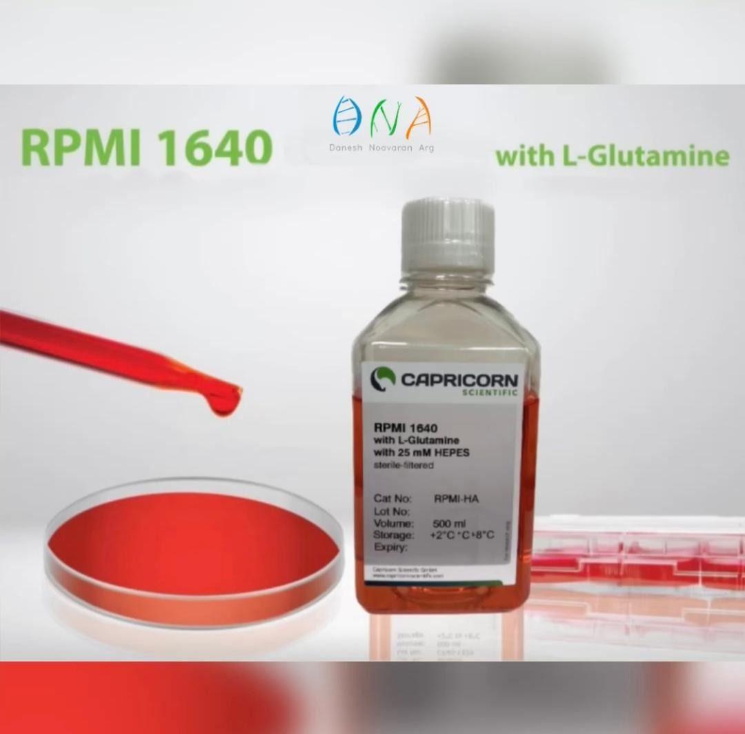 دانش نوآوران ارگ