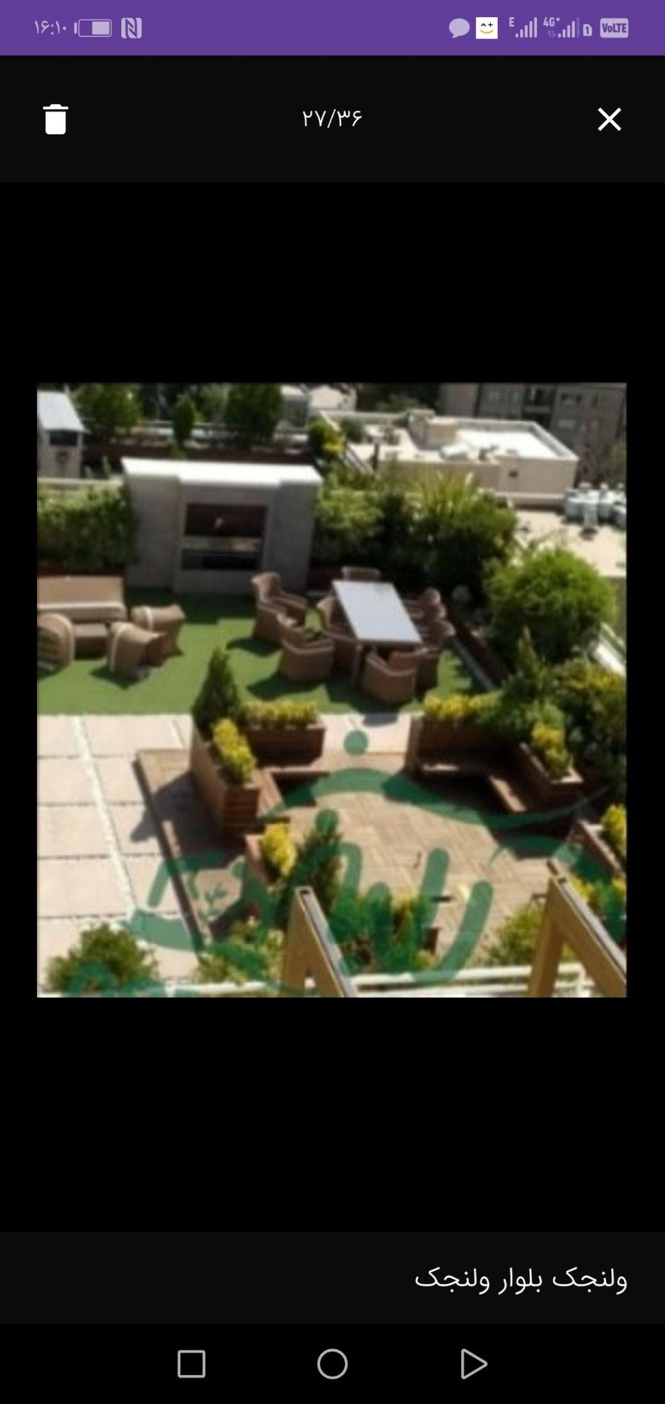 گل و گیاه کلبه سبز