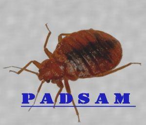 سمپاشی حشرات و مبارزه با جانوران موذی