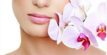 فیشال گیاهی و تخصصی